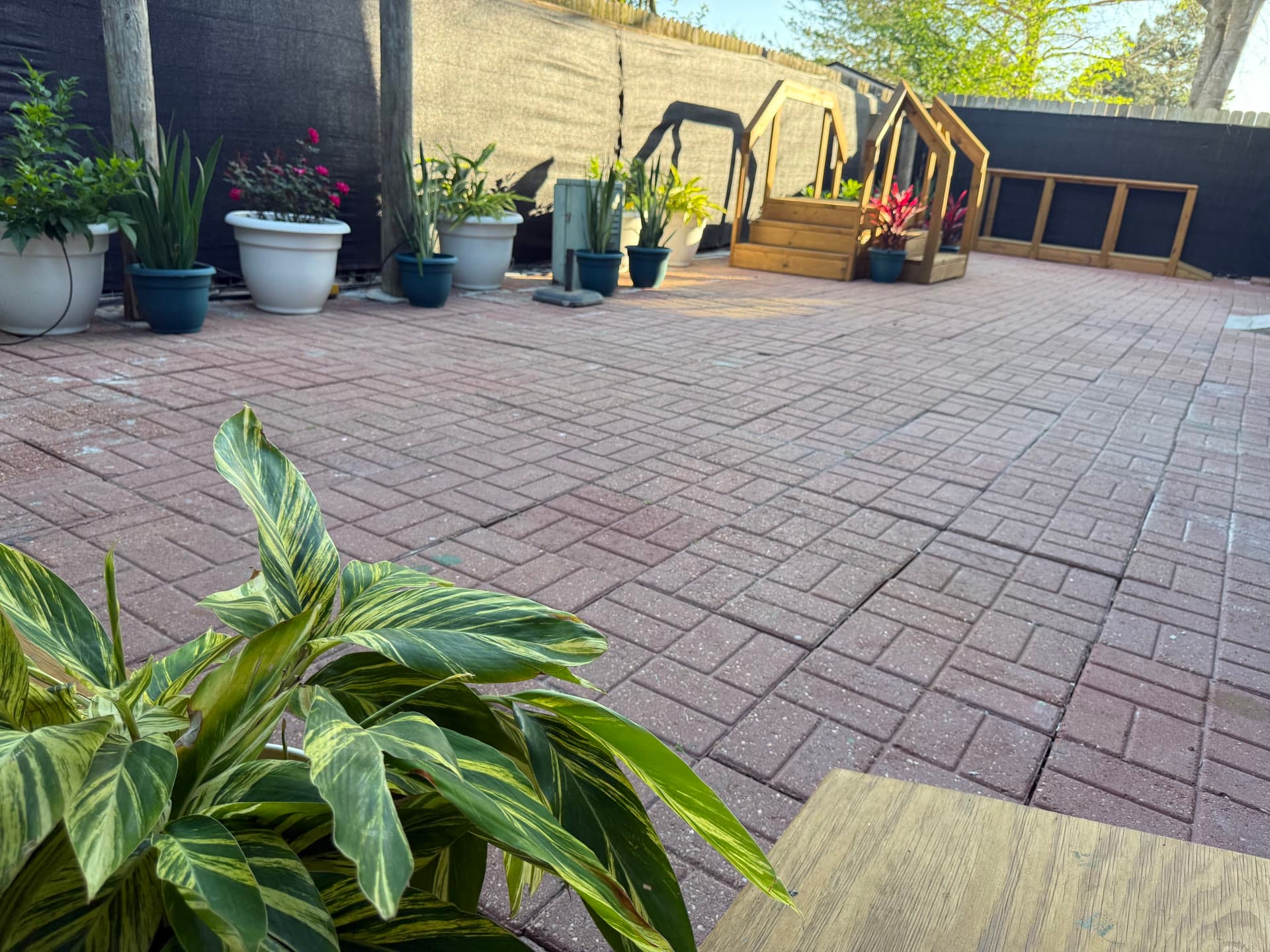 Backyard patio with brick pavers, potted plants, and greenery